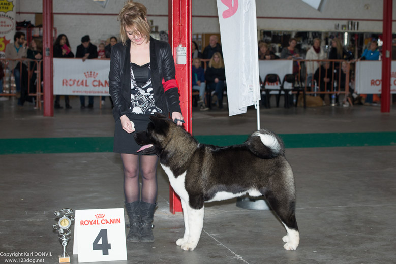 gal/Expo_janvier_2015/2015-02-27 13.32.02-3.jpg